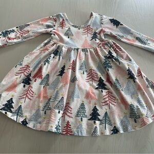 Hanna Andersson skater dress